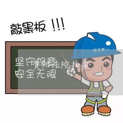 贵阳法院拍卖 贵阳法院拍卖