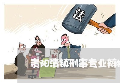 贵阳清镇刑事专业辩护律师