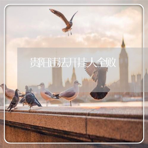 贵阳违法开挂人全败 贵阳违法开挂人全败