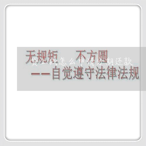 贷上钱怎么申请分期还款