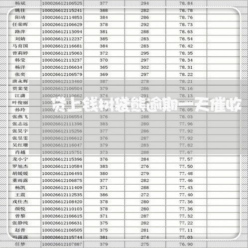 贷上钱树袋熊逾期一天催收