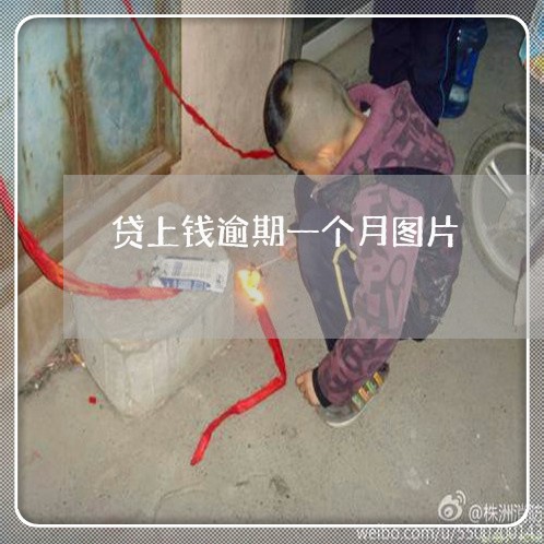 贷上钱逾期一个月图片