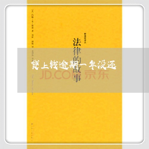 贷上钱逾期一年没还