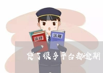 贷了很多平台都逾期了怎么办