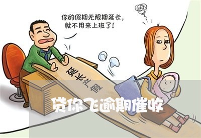 贷你飞逾期催收