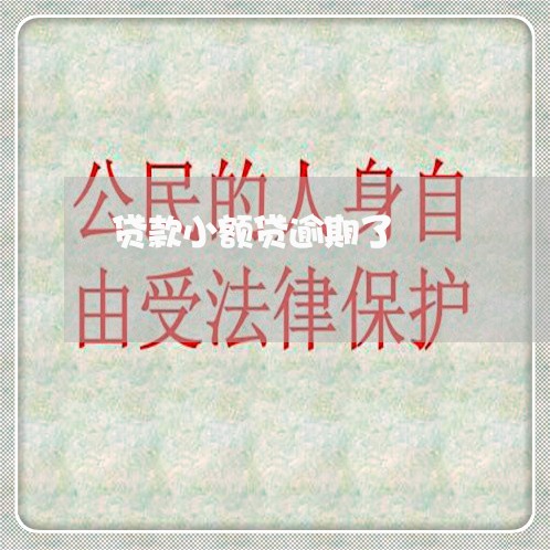 贷款小额贷逾期了 贷款小额贷逾期了