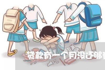 贷款有一个月没还够有影响吗/2023022715268