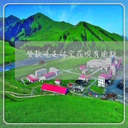 贷款说支付宝花呗有逾期/2023030169694 贷款说支付宝花呗有逾期/2023030169694
