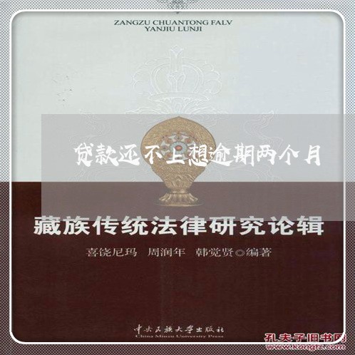 贷款还不上想逾期两个月