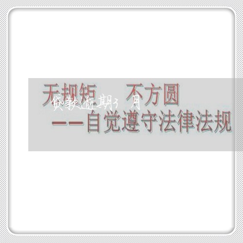 贷款逾期3月 贷款逾期3月