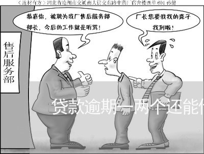 贷款逾期一两个还能借吗