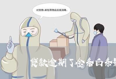 贷款逾期了金条白条影响吗 贷款逾期了金条白条影响吗