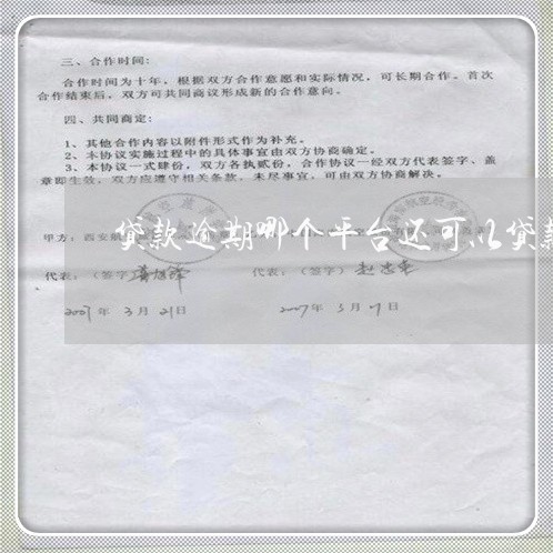 贷款逾期哪个平台还可以贷款