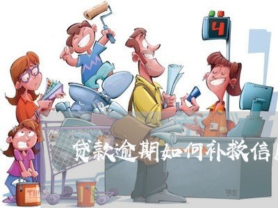 贷款逾期如何补救信用卡还款/2023022653725 贷款逾期如何补救信用卡还款/2023022653725