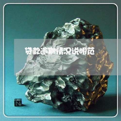 贷款逾期情况说明范