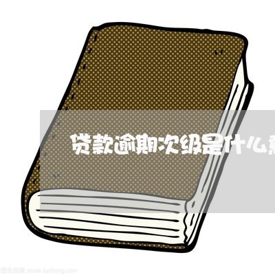 贷款逾期次级是什么意思