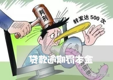 贷款逾期罚本金 贷款逾期罚本金