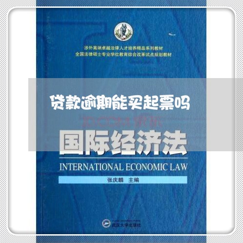 贷款逾期能买起票吗 贷款逾期能买起票吗