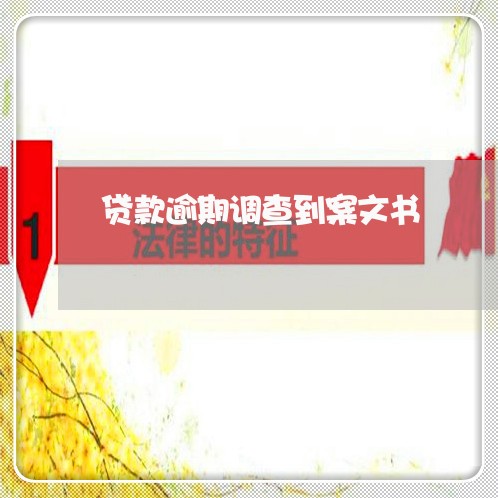 贷款逾期调查到案文书 贷款逾期调查到案文书