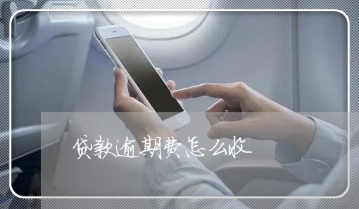 贷款逾期费怎么收