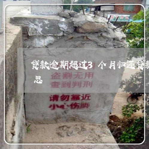 贷款逾期超过3个月归还贷款本息是什么意思