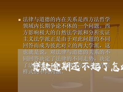 贷款逾期还不起了怎么办/2023100750473