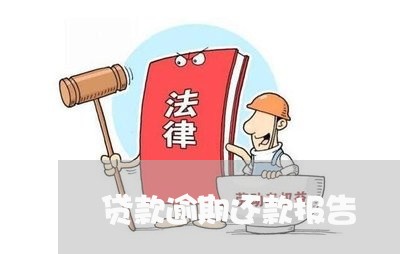 贷款逾期还款报告