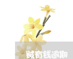 贼有钱逾期 贼有钱逾期