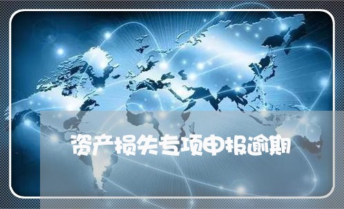 资产损失专项申报逾期