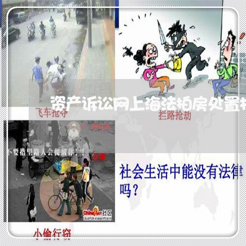 资产诉讼网上海法拍房处置机构 资产诉讼网上海法拍房处置机构