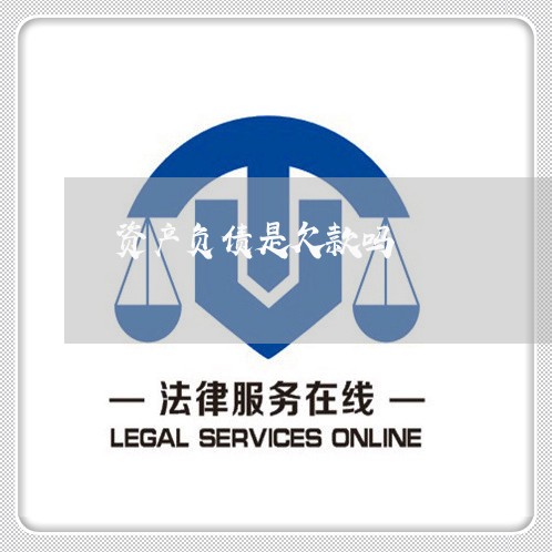 资产负债是欠款吗/2023022803047 资产负债是欠款吗/2023022803047