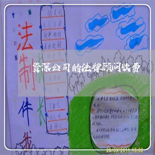 资深公司的法律顾问收费 资深公司的法律顾问收费