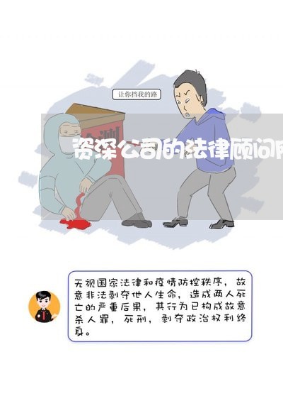 资深公司的法律顾问网站 资深公司的法律顾问网站