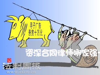 资深合同律师哪家强一些
