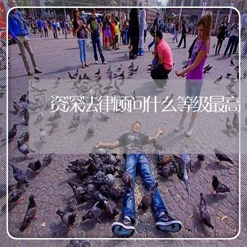 资深法律顾问什么等级最高