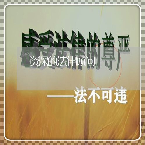 资深的法律顾问/2023061748593 资深的法律顾问/2023061748593