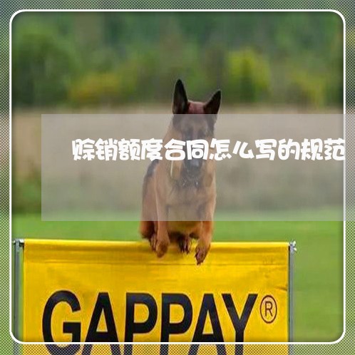 赊销额度合同怎么写的规范/2023022791614 赊销额度合同怎么写的规范/2023022791614