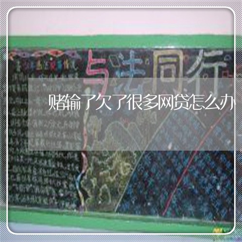 赌输了欠了很多网贷怎么办 赌输了欠了很多网贷怎么办