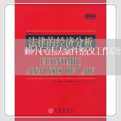 赖小民违法案件整改工作总结