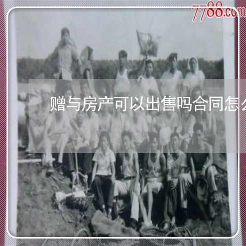 赠与房产可以出售吗合同怎么写/2023041714817