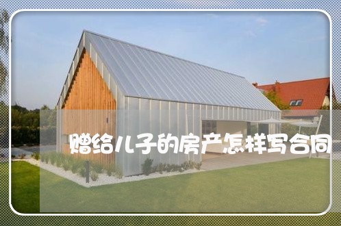 赠给儿子的房产怎样写合同/2023041473948