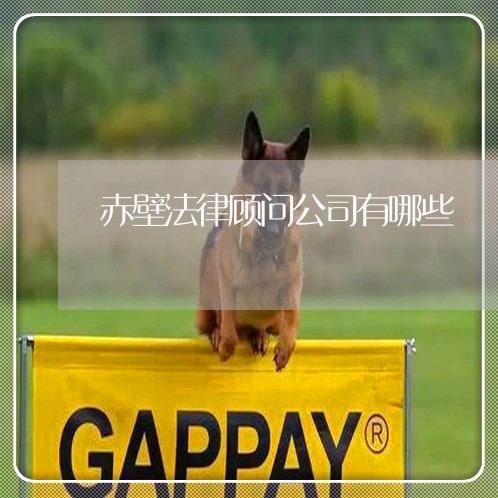 赤壁法律顾问公司有哪些 赤壁法律顾问公司有哪些