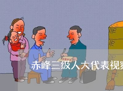 赤峰三级人大代表视察诉讼工作 赤峰三级人大代表视察诉讼工作