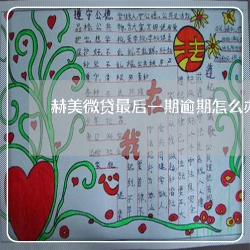 赫美微贷最后一期逾期怎么办 赫美微贷最后一期逾期怎么办