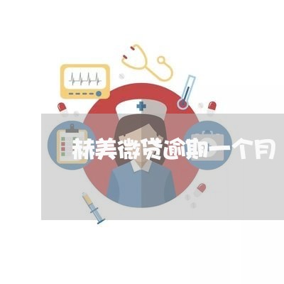 赫美微贷逾期一个月 赫美微贷逾期一个月