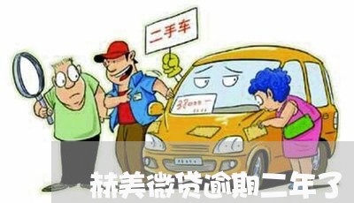 赫美微贷逾期二年了 赫美微贷逾期二年了