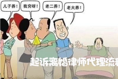 起诉离婚律师代理流程及费用