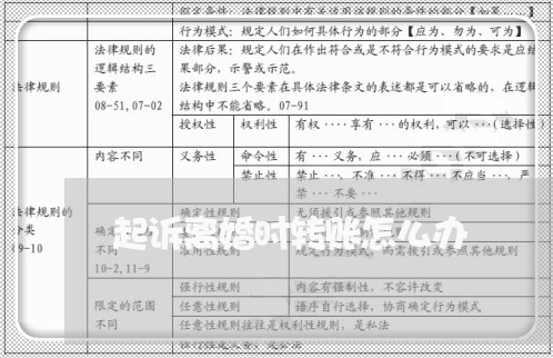 起诉离婚时转账怎么办/2023042359371 起诉离婚时转账怎么办/2023042359371