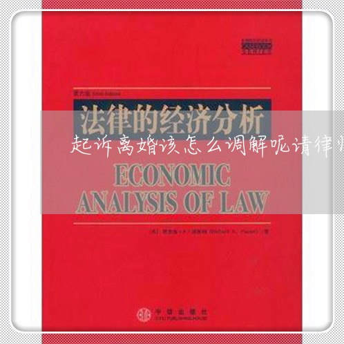 起诉离婚该怎么调解呢请律师/2023061196927 起诉离婚该怎么调解呢请律师/2023061196927