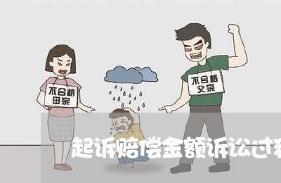 起诉赔偿金额诉讼过程可以调整 起诉赔偿金额诉讼过程可以调整